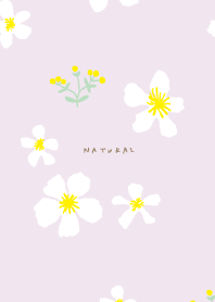 yellow and white flowers24 from Japan