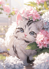 灰藍貓