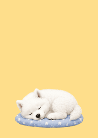 Baby Samoyed02 brown & yellow JP