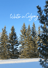 Winter in Calgary (29)