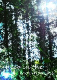 deep in the mountains