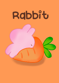 Rabbit sleep @Noo