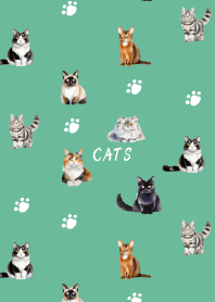 cat festival on blue green