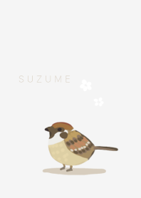 Suzume birds