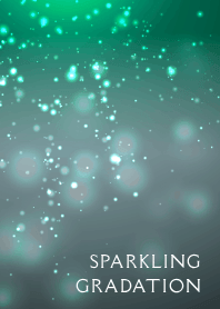 SPARKLING GRADATION THEME /26