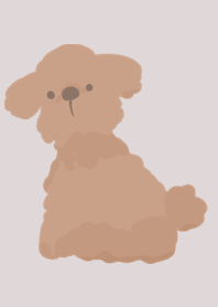 kusumi poodle