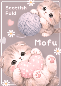 pink Greige Cute Fluffy Scottish Fold
