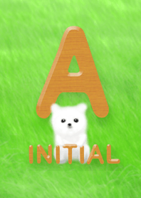 Initial A / White