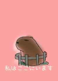 capybara - around