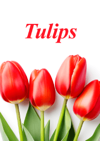 "Tulips vol.6" theme