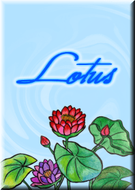 Lotus -SUMMER-