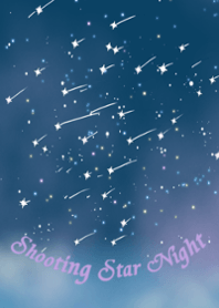 流星群の夜