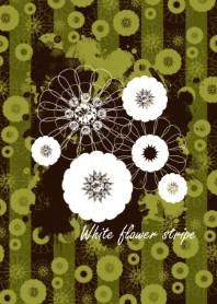 White flower stripe