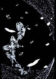 Flower butterfly dance{WK_NC)