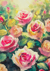 Beautiful rose flower(R4285)