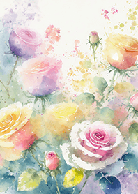 Beautiful rose flower(R4176)