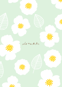 Stylish white flowers leaves10