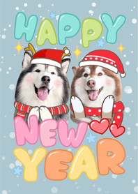 Husky Happy New Year
