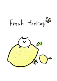 Simple and cute white cat 6