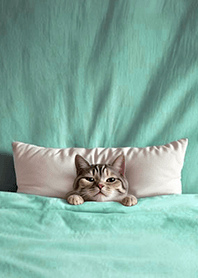 Fun playful cat  blanket2B-civet cat