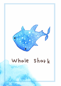 I love cute whale sharks2