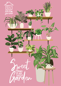 Sweet home little plant / R1 (Pk)