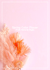 Spring Color Flower - Natural Flower