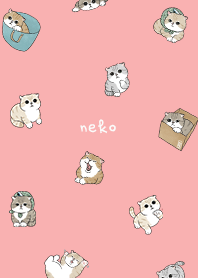 neko combo5 - coral