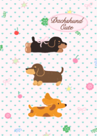 Dachshund cute
