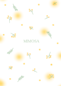 MIMOSA yellow flower