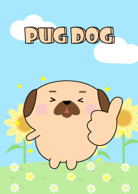 Happy Lovely Pug Dog Theme