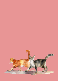 two cats on light pink