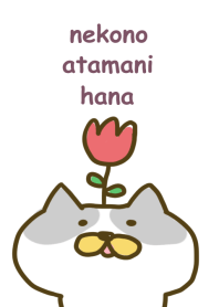 Flowers on the cat's head