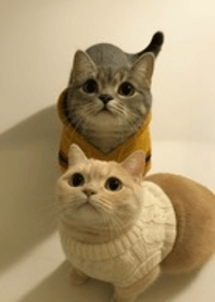 PUFF&YUNI cat.