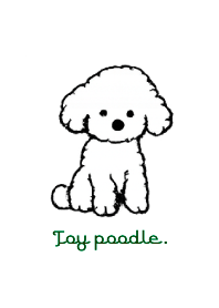 Toy poodle THEME 7