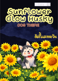Sunflower Glow Husky