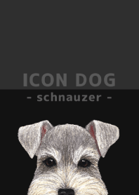 ICON DOG - schnauzer - BLACK/05