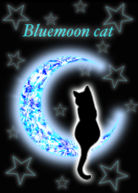 Black cat and crescent