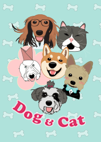 dog&cat
