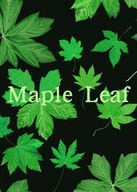 秋天復古系楓葉(螢光綠)