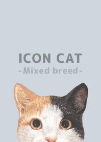 ICON CAT -Mixed breed cat- PASTEL BL/04