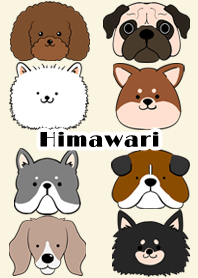 Himawari Scandinavian dog style