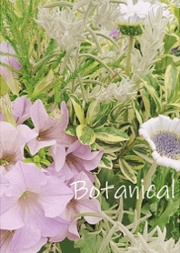 Healing botanical life3.