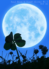 Real Moon&7Leaf Clover #1-7Not AI