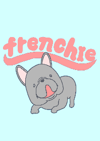 Funny French bulldog brindle