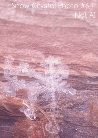 Snow Crystal Photo #6-11Not AI