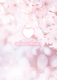 Cherry Blossom Theme 2 -  006 (HC)