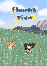 Flowers View with dogs