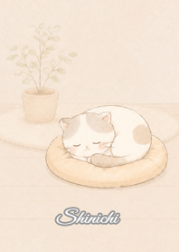 Cozy Lazy Cat: Shinichi
