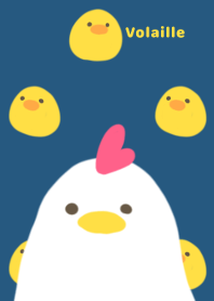 ヒヨコとニワトリ